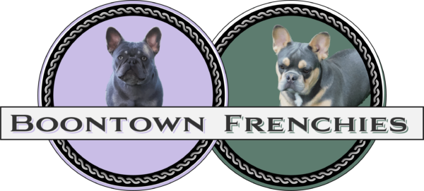 Boontown Frenchies
